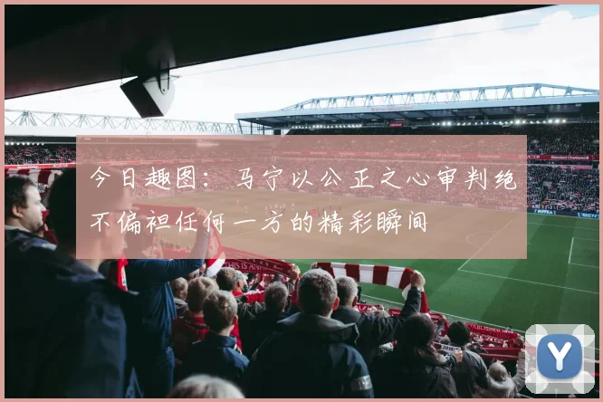 今日趣图：马宁以公正之心审判绝不偏袒任何一方的精彩瞬间